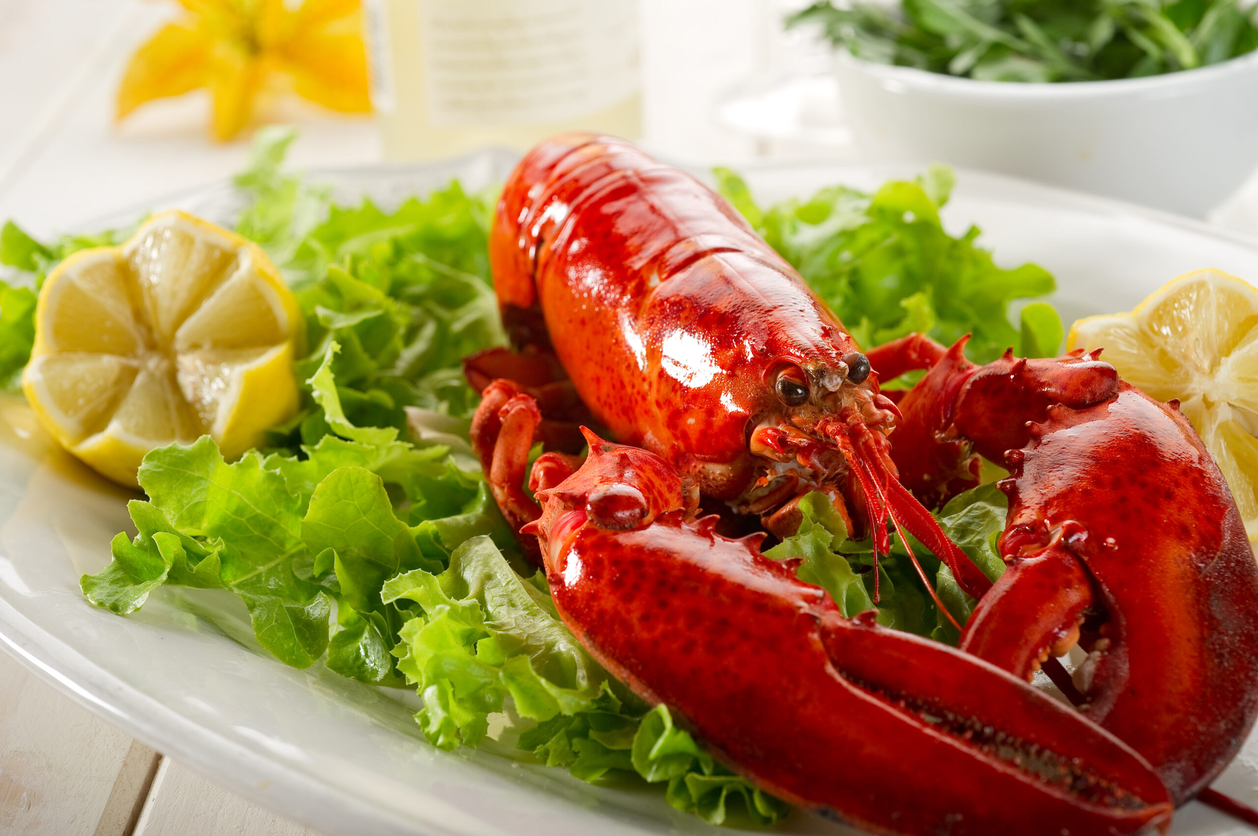 001_Lobster